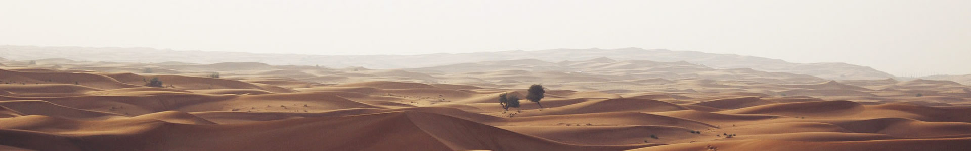 ݳĻý޹˾